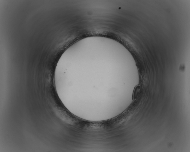 X0000092100546200710101124