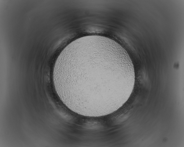 X0000092100547200710101124