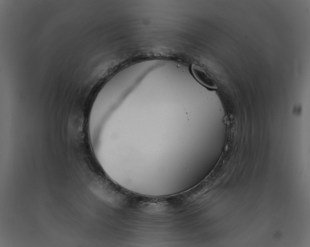 X0000092100548200710101124