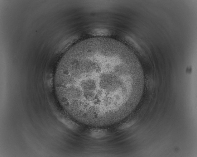 X0000092100549200710101124