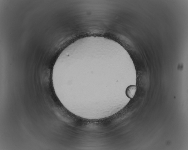 X0000092100550200710101124