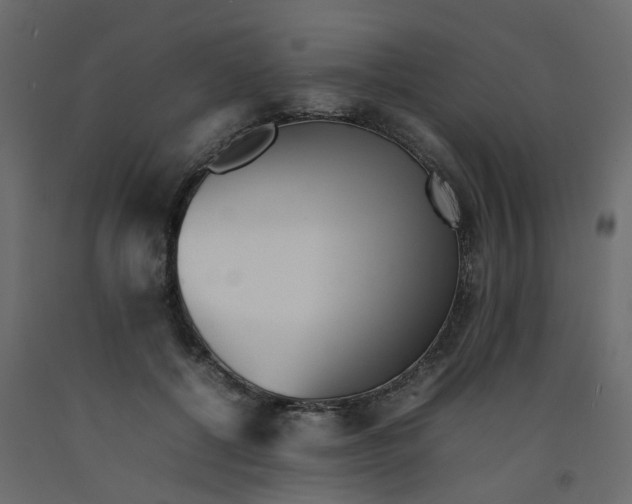 X0000092100552200710101124