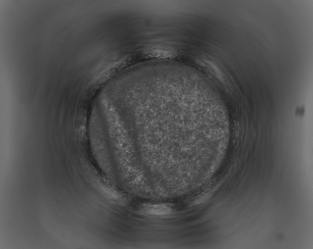 X0000092100553200710101124