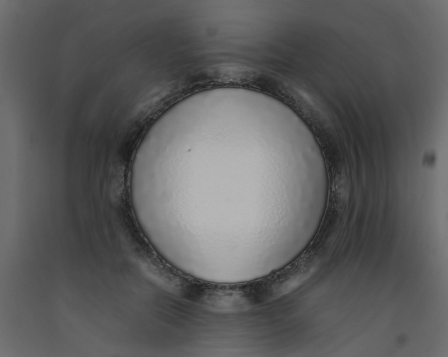 X0000092100554200710101124