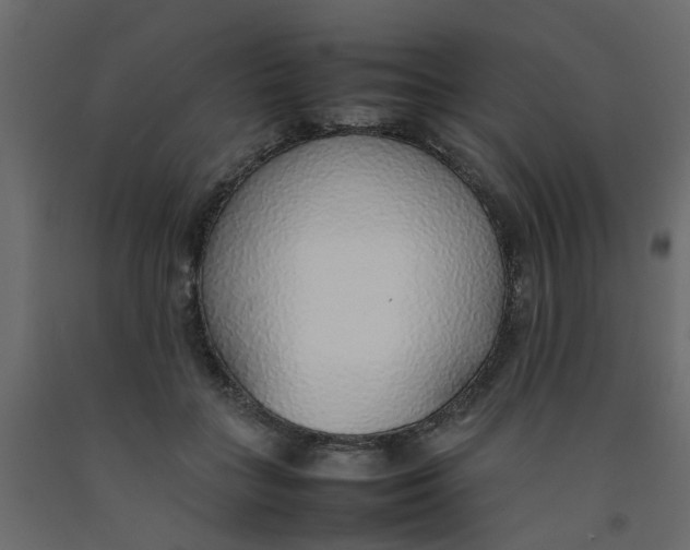 X0000092100555200710101124