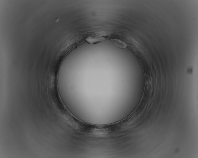 X0000092100556200710101124