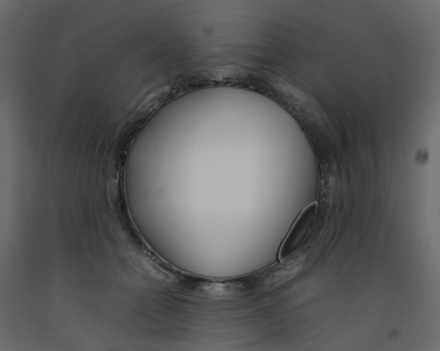 X0000092100558200710101124