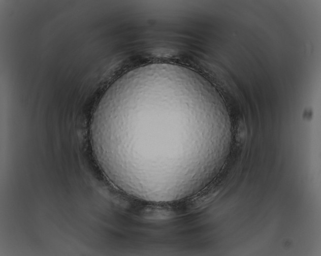 X0000092100559200710101124