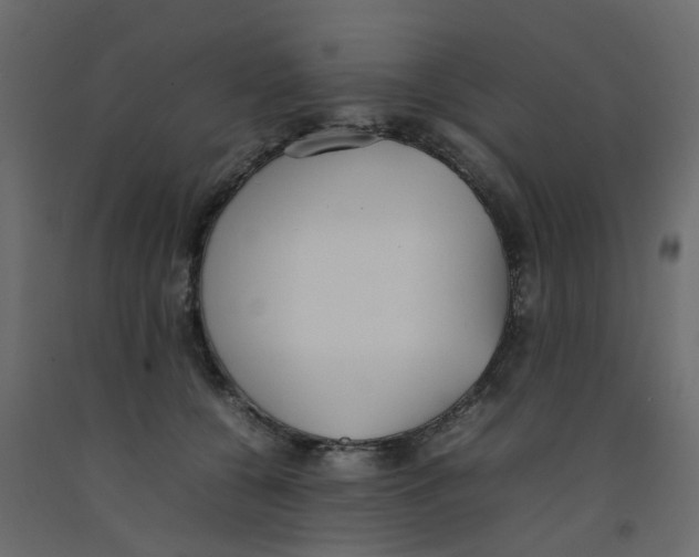 X0000092100560200710101124