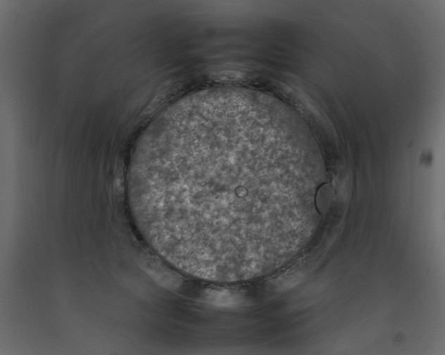 X0000092100561200710101124