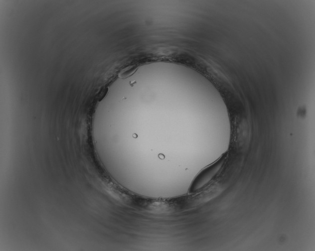 X0000092100562200710101124