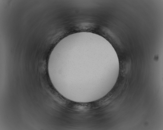 X0000092100563200710101124