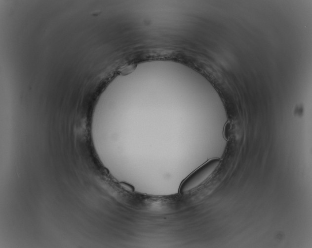 X0000092100564200710101124