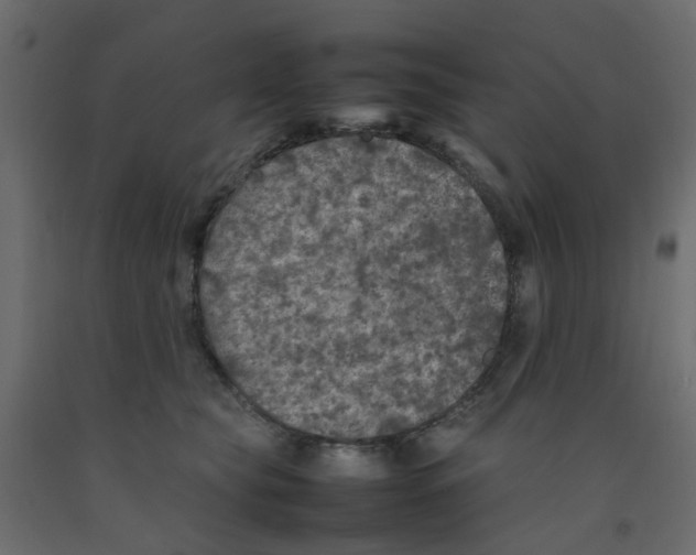 X0000092100565200710101124