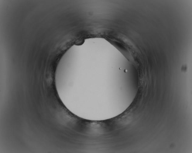 X0000092100566200710101124