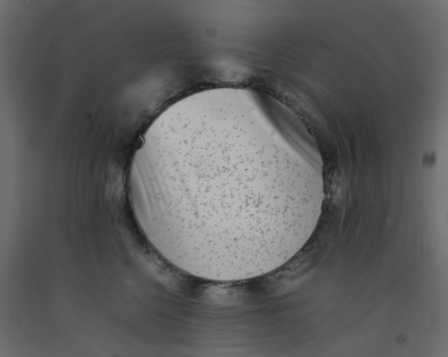 X0000092100568200710101124