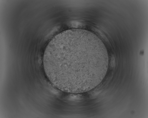 X0000092100569200710101124