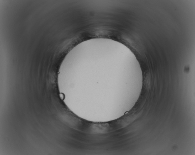 X0000092100571200710101124