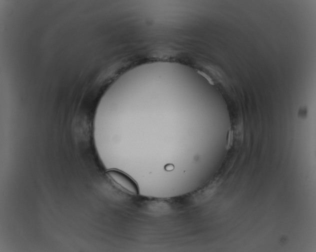 X0000092100572200710101124