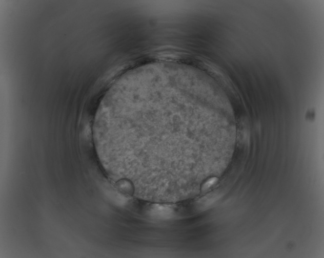 X0000092100573200710101124