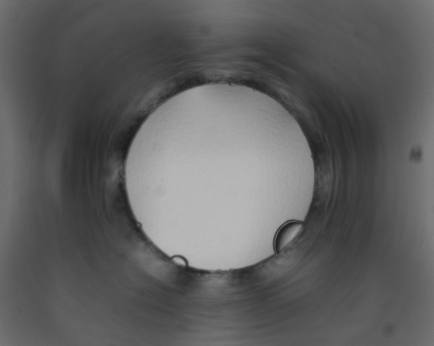 X0000092100574200710101124