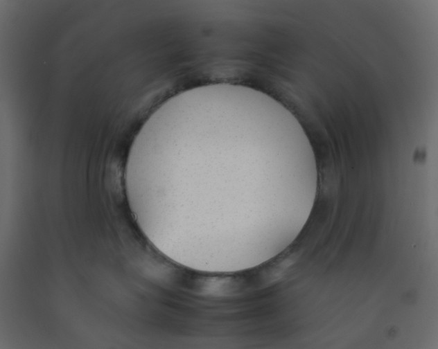 X0000092100575200710101124