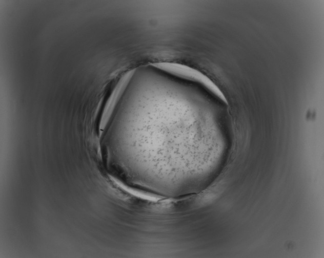 X0000092100576200710101124