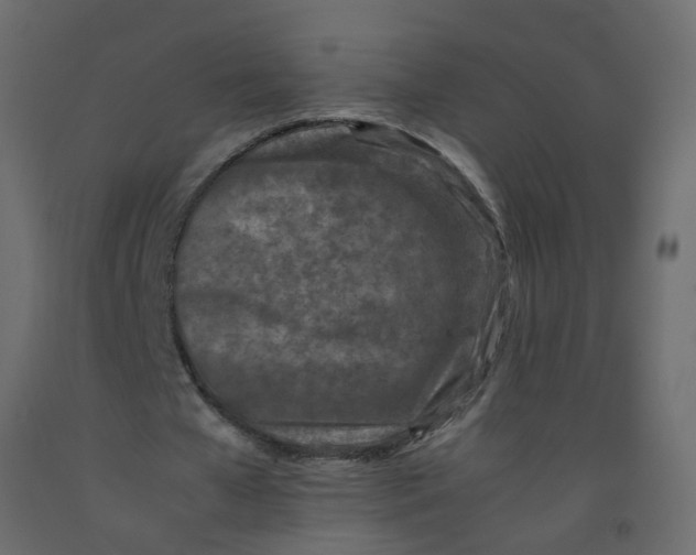 X0000092100577200710101124