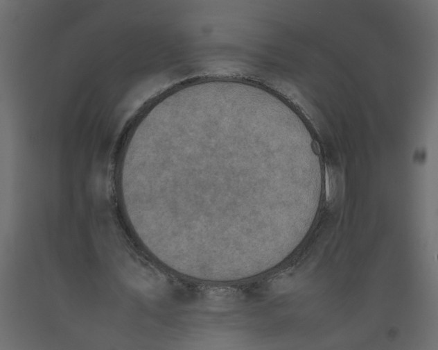 X0000092100579200710101124