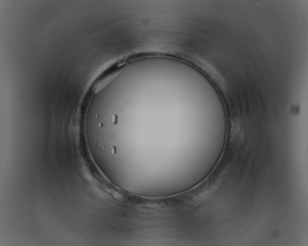 X0000092100580200710101124