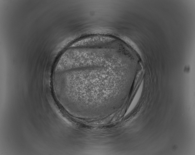 X0000092100581200710101124