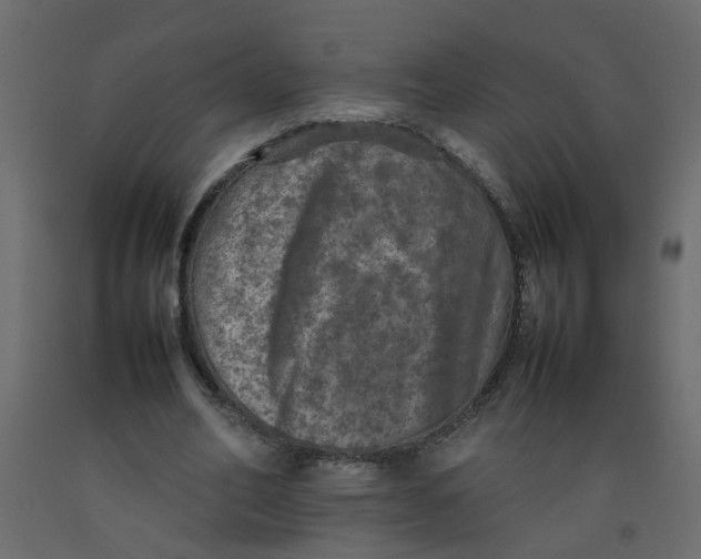 X0000092100582200710101124