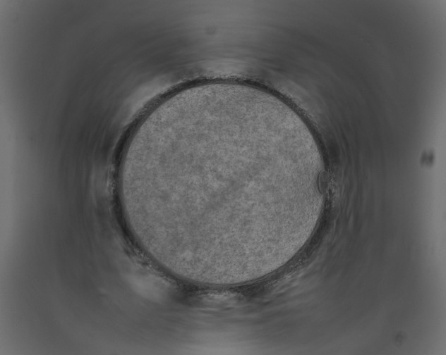 X0000092100583200710101124