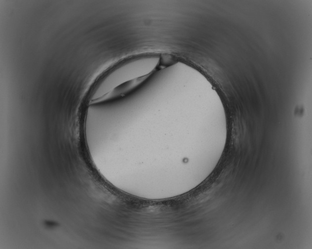 X0000092100584200710101124