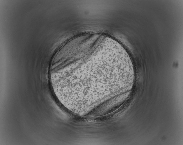 X0000092100585200710101124