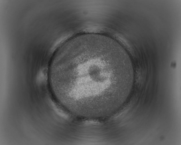 X0000092100586200710101124