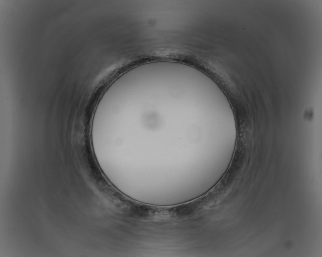 X0000092100587200710101124