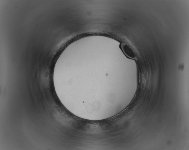 X0000092100588200710101124