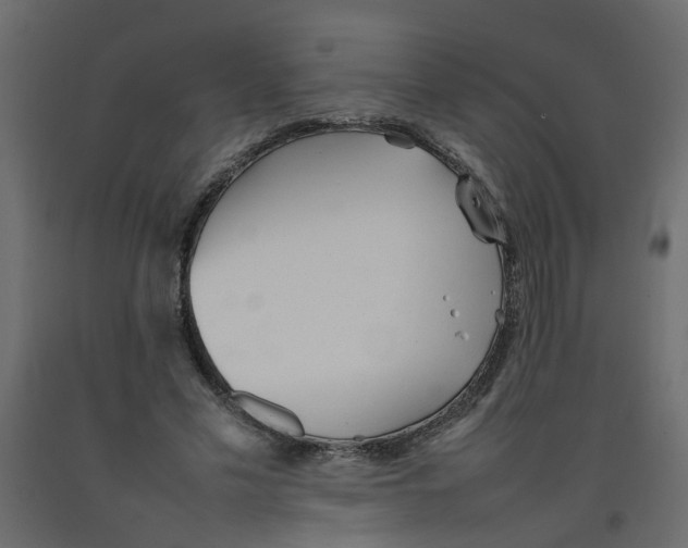 X0000092100589200710101124