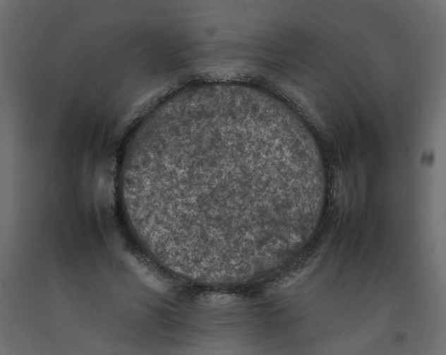 X0000092100590200710101124