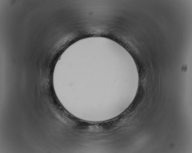 X0000092100591200710101124