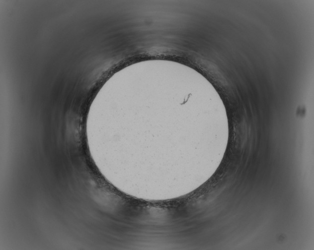 X0000092100592200710101124