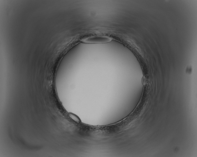 X0000092100593200710101124