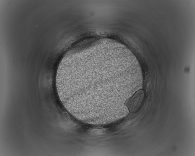 X0000092100595200710101124