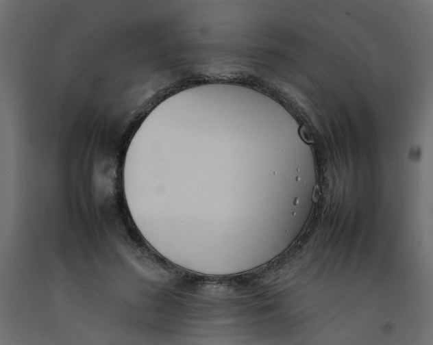 X0000092100596200710101124