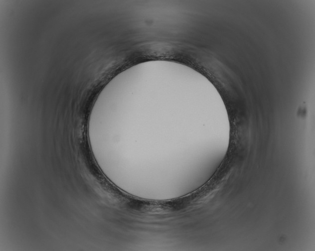 X0000092100597200710101124