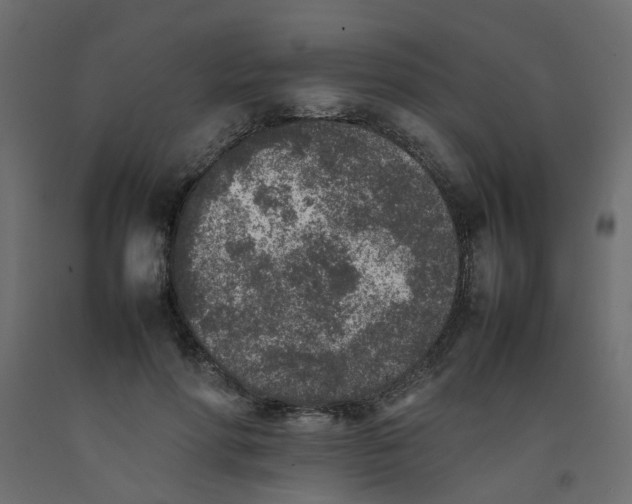 X0000092100598200710101124