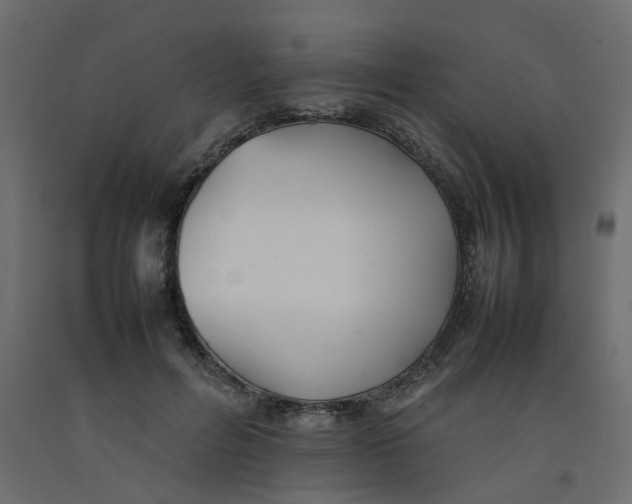 X0000092100600200710101124