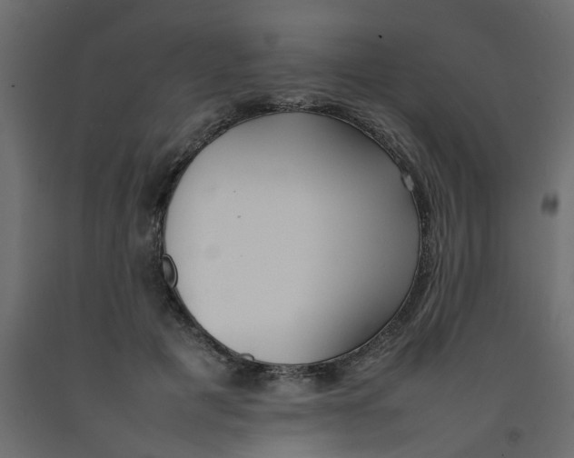 X0000092100601200710101123