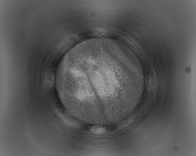 X0000092100602200710101123